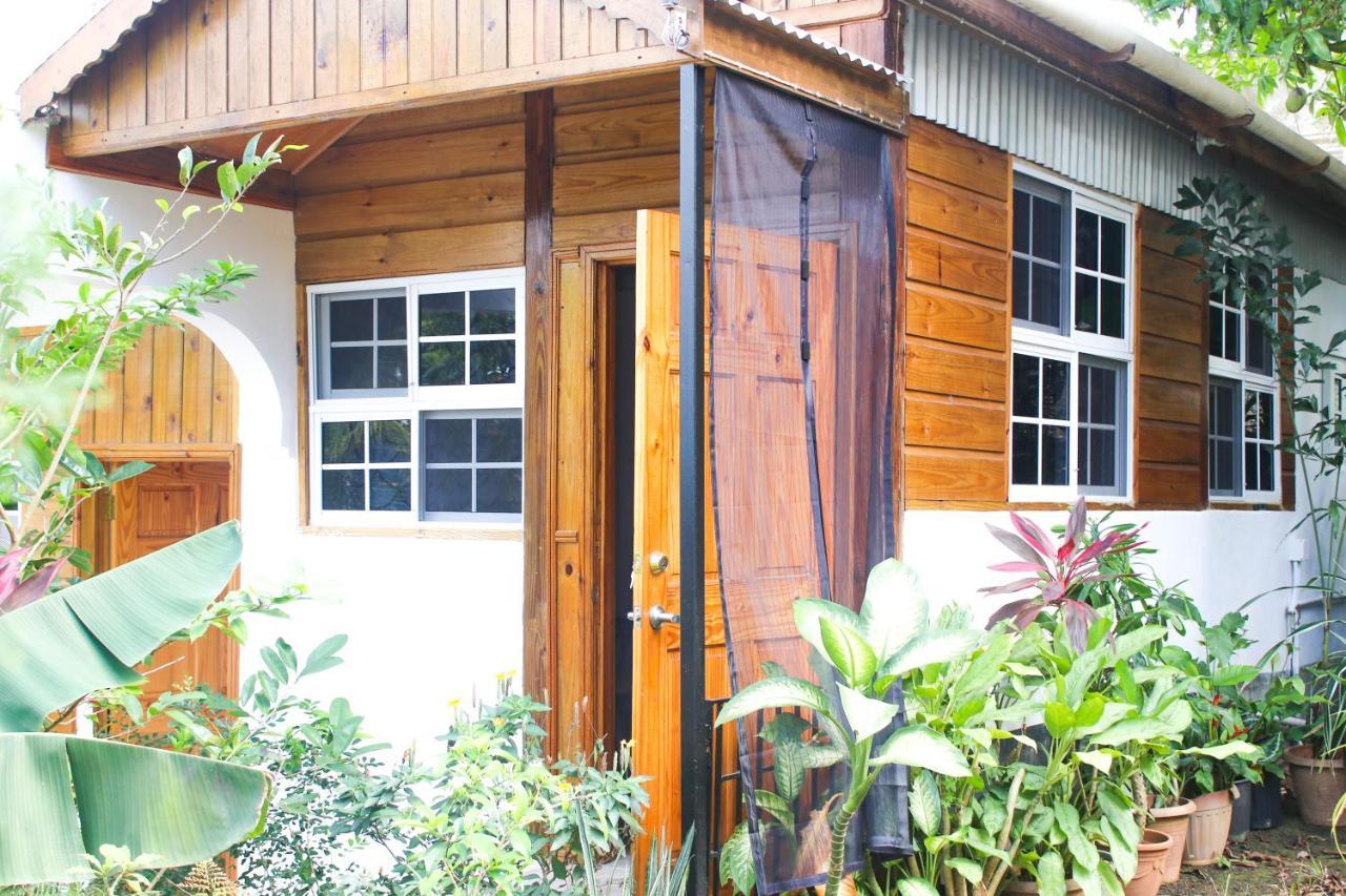 Van Villa Guesthouse Negril Eksteriør billede